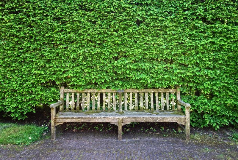 wooden-bench-3392273_1280